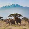 Kenya