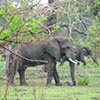 Malawi