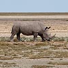 Namibia