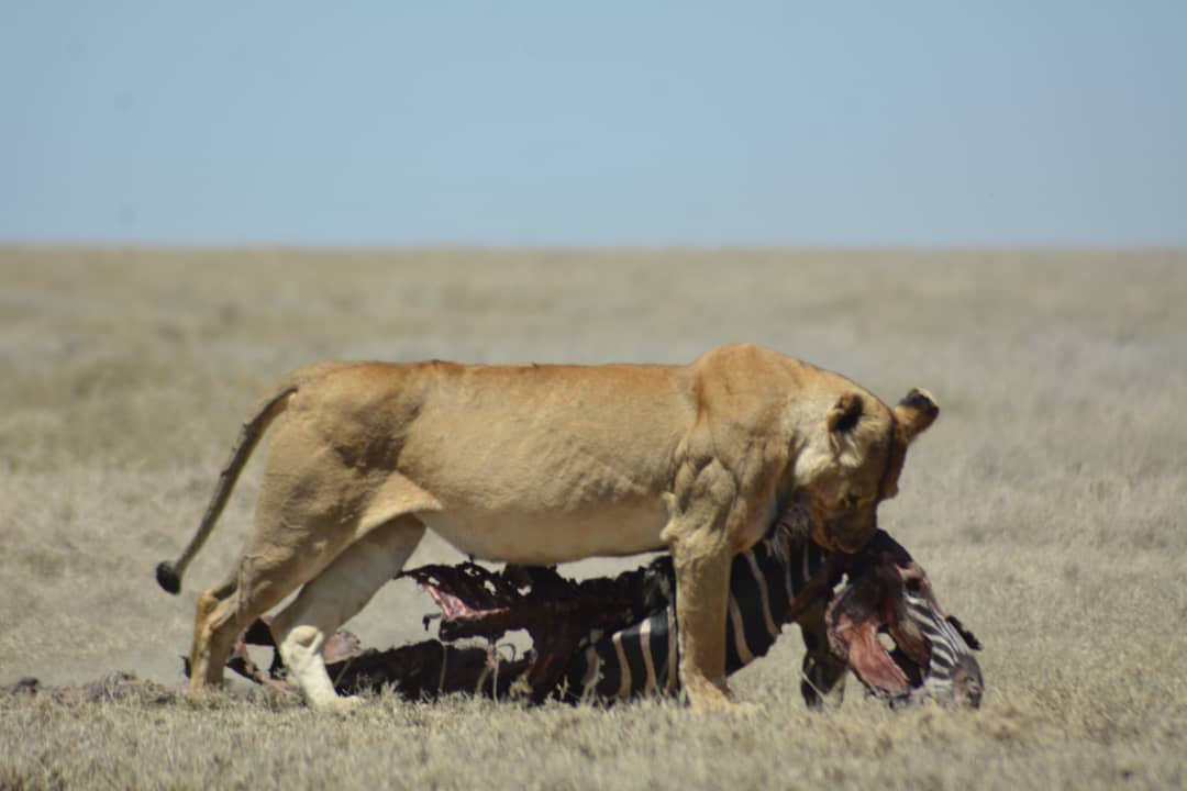 Ngorongoro Conservation Area