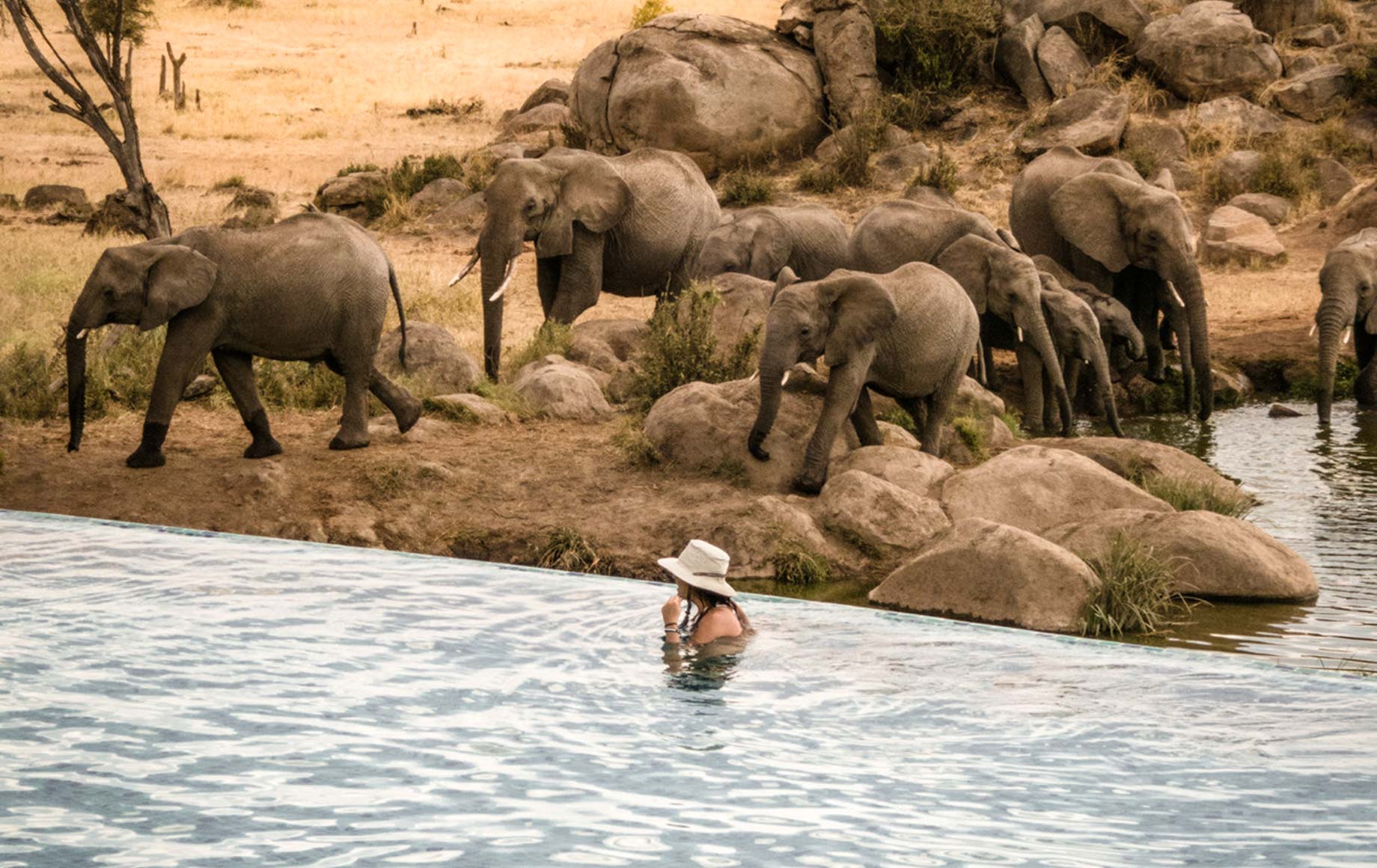 Serengeti Four Season Lodge