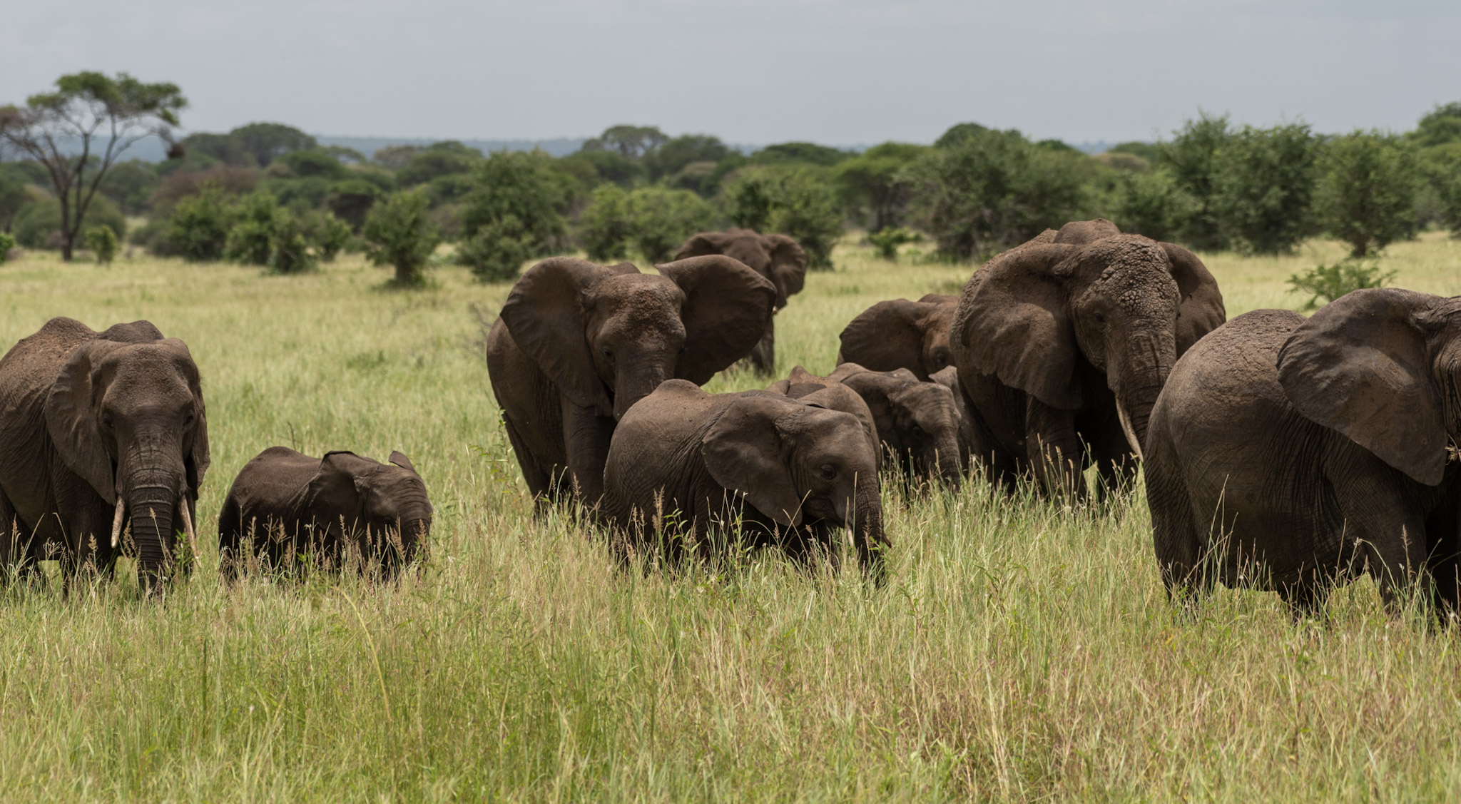 Tarangire National Park