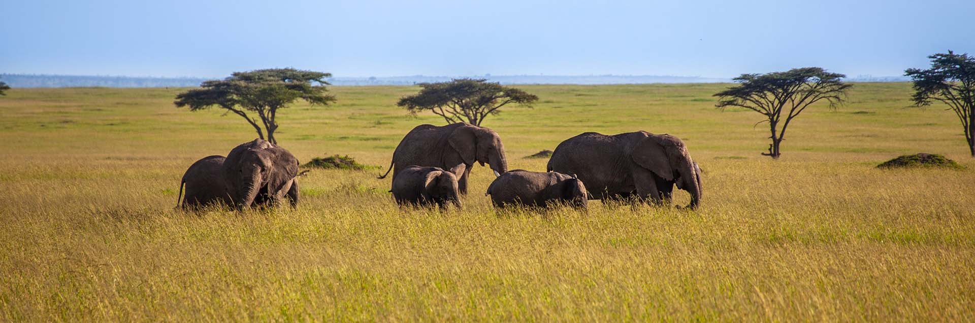 Serengeti National Park