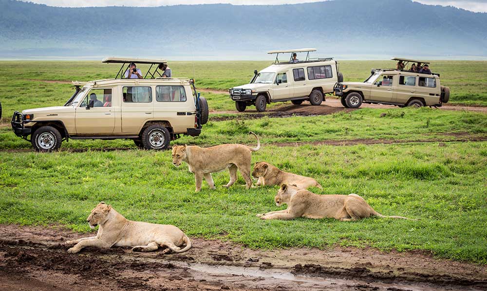 Ngorongoro Conservation Area