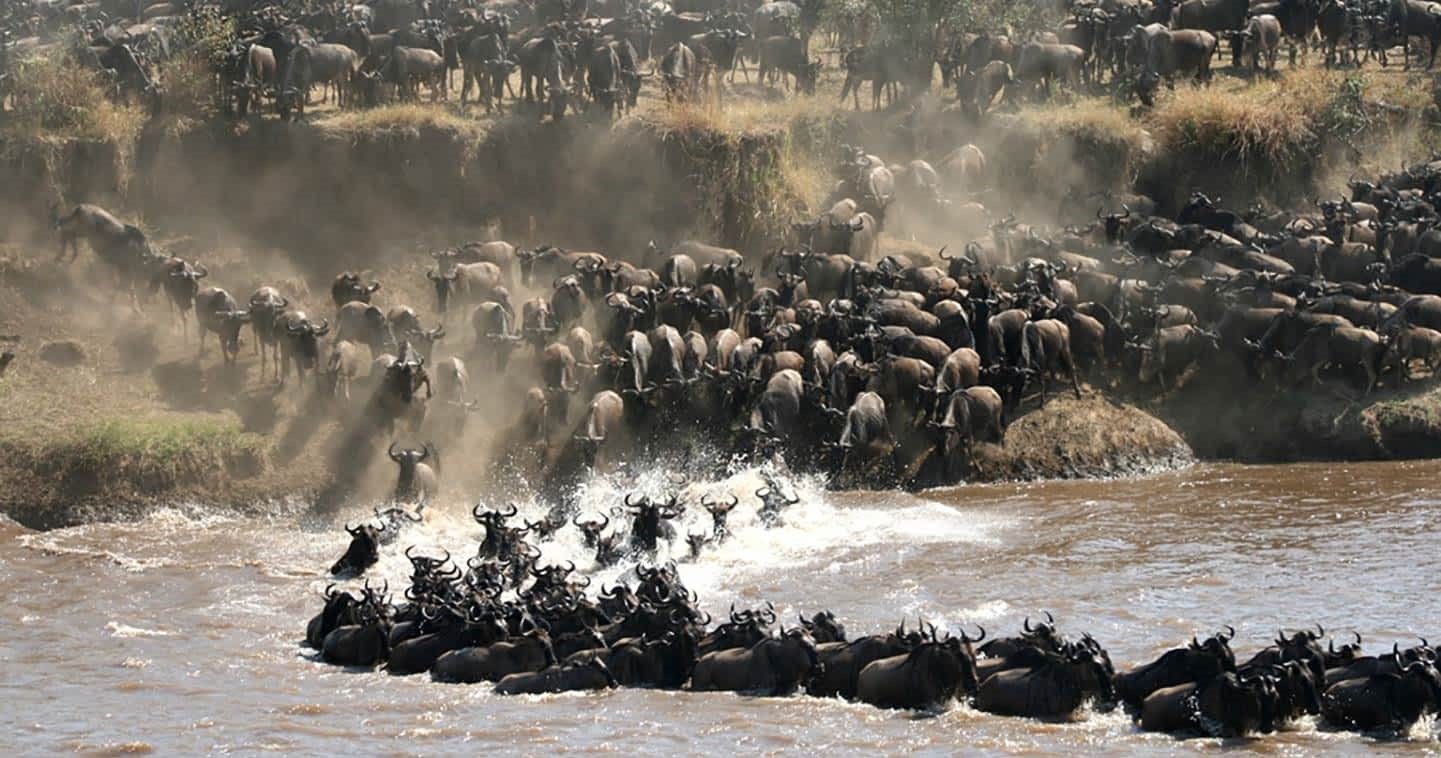 Serengeti National Park