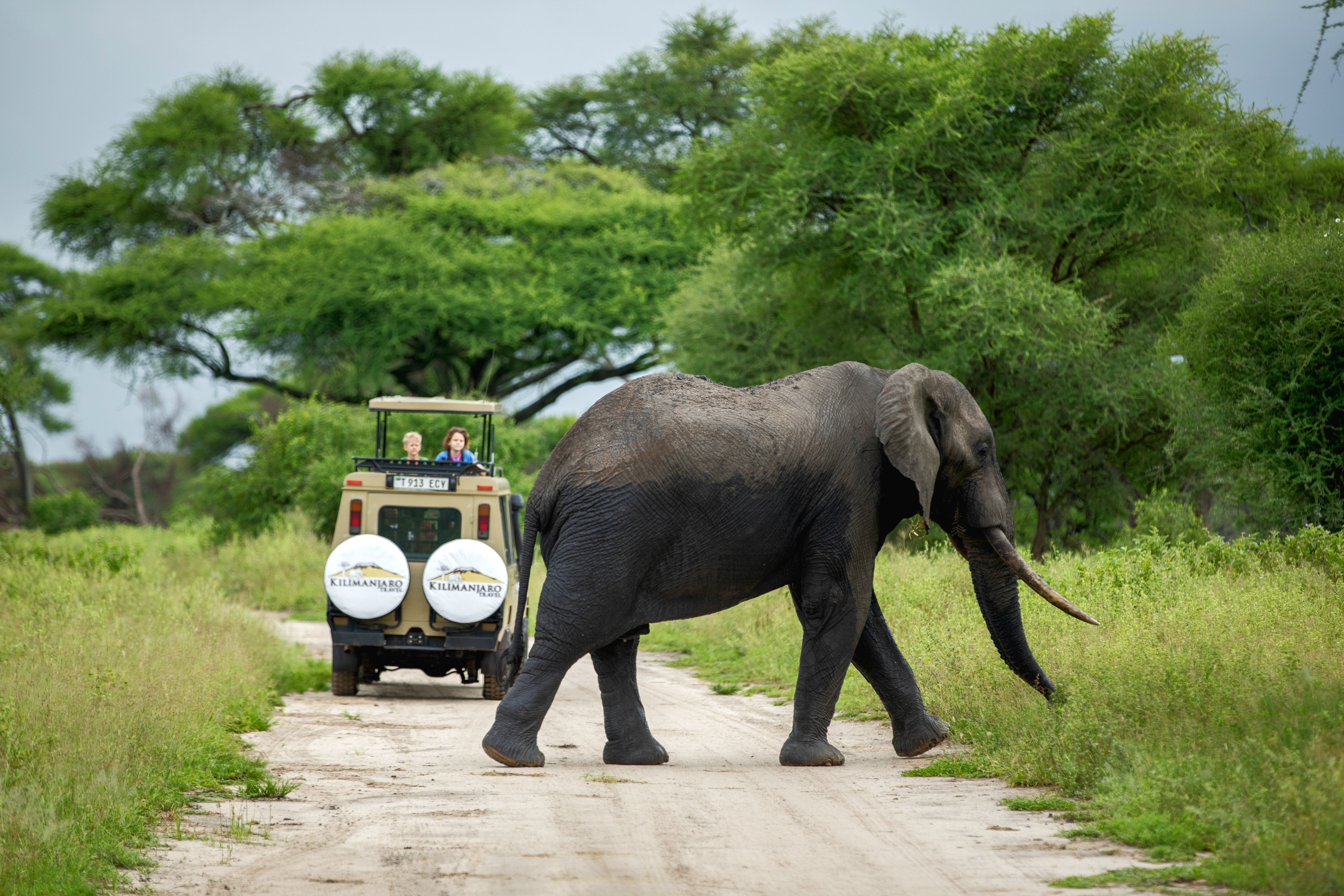 Tarangire National Park