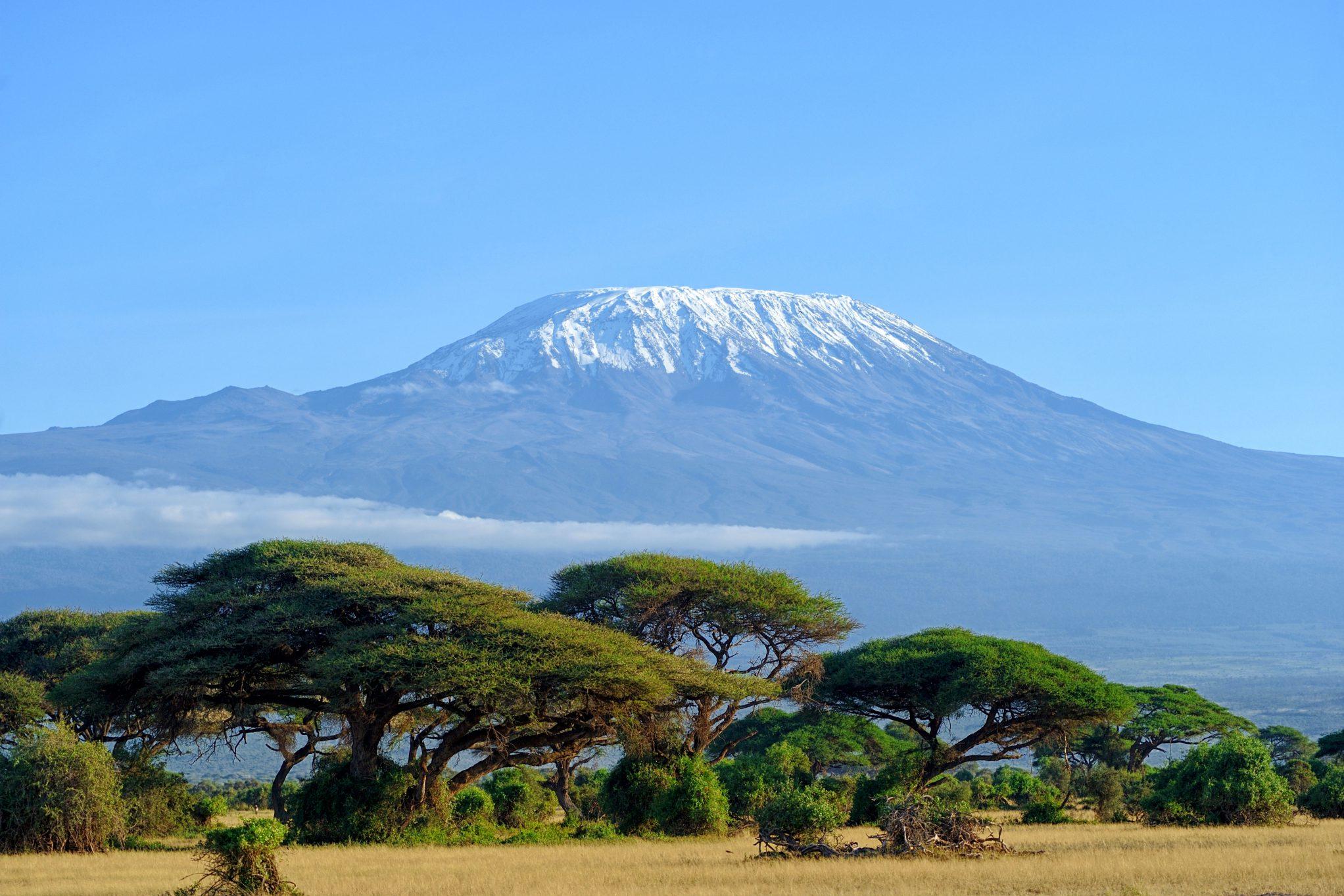 Kilimanjaro International Airport