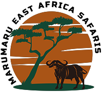 Marumaru East Africa Safaris Limited