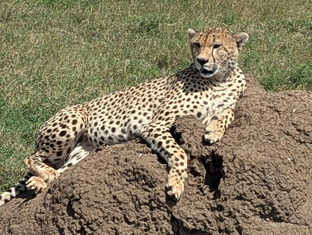 Serengeti National Park
