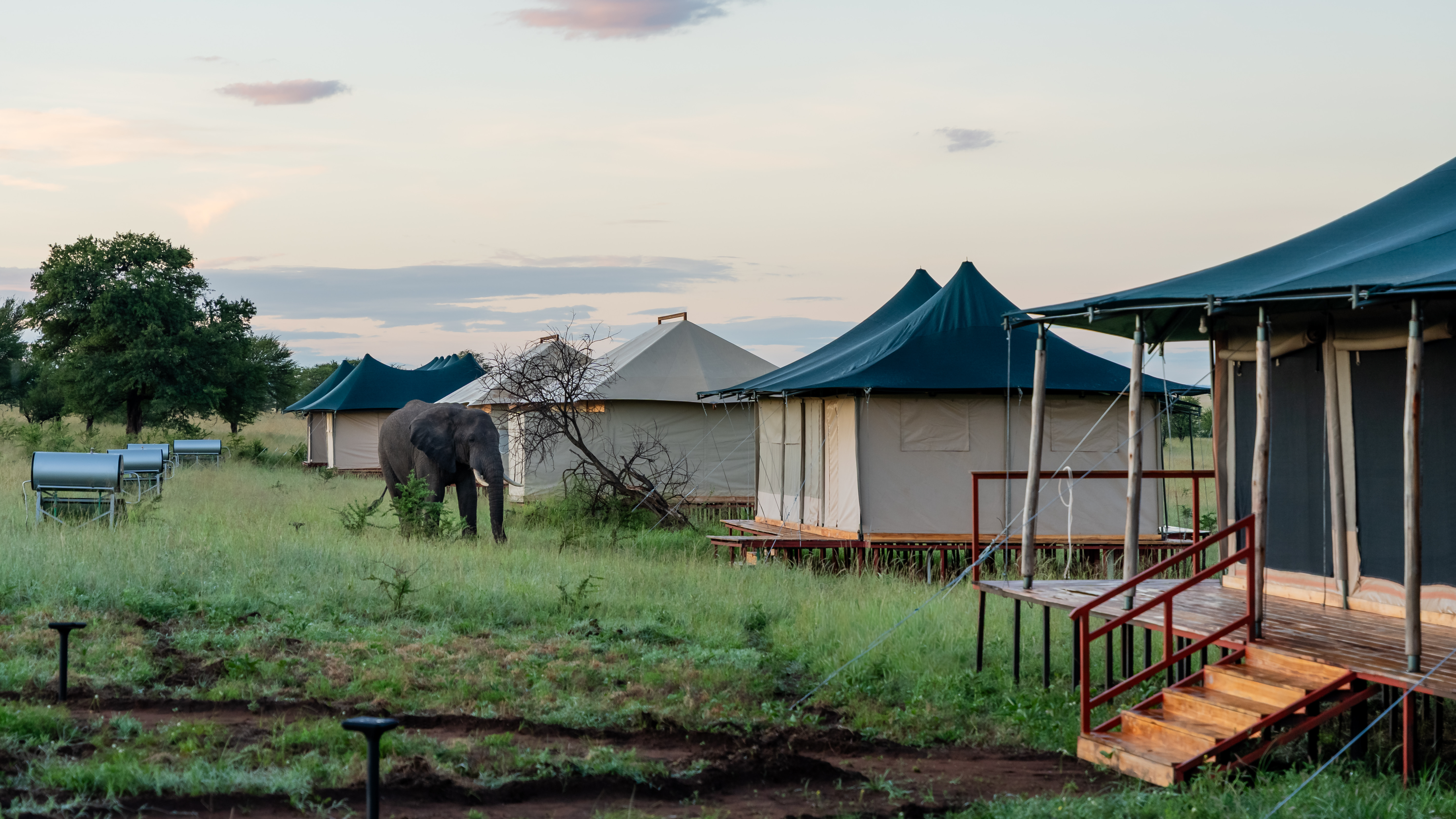 Serengeti National Park
