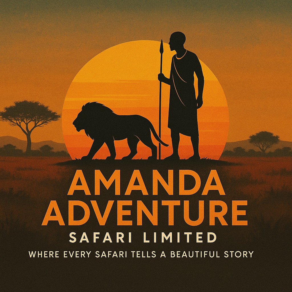 Amanda Adventure Safari Limited