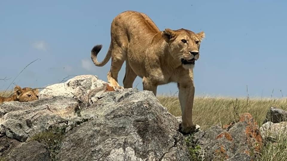 Serengeti National Park