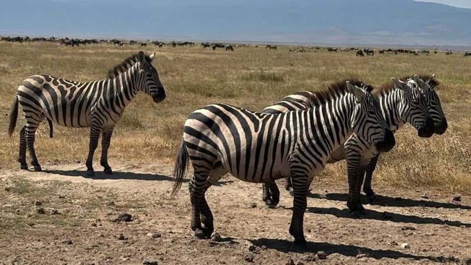 Serengeti National Park
