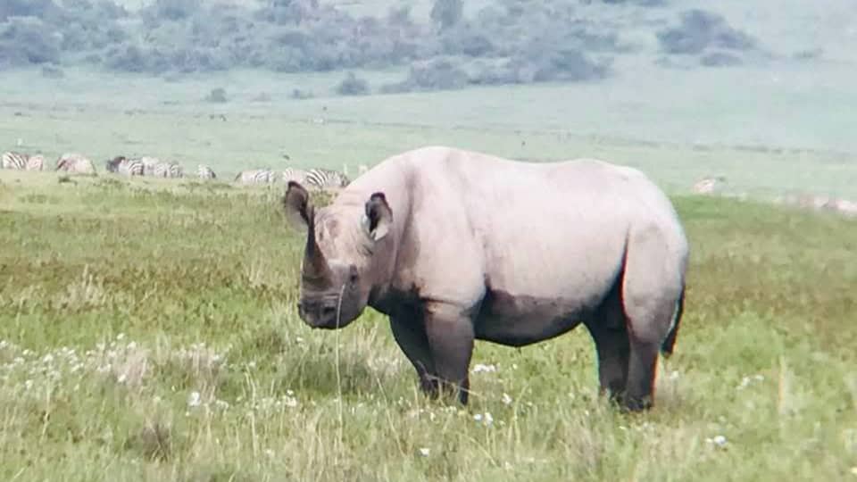 Ngorongoro Conservation Area