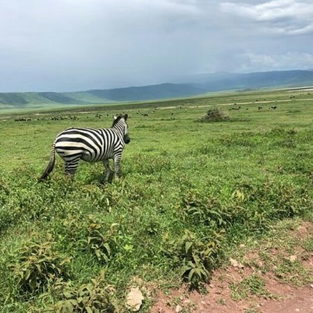 Lake Manyara National Park