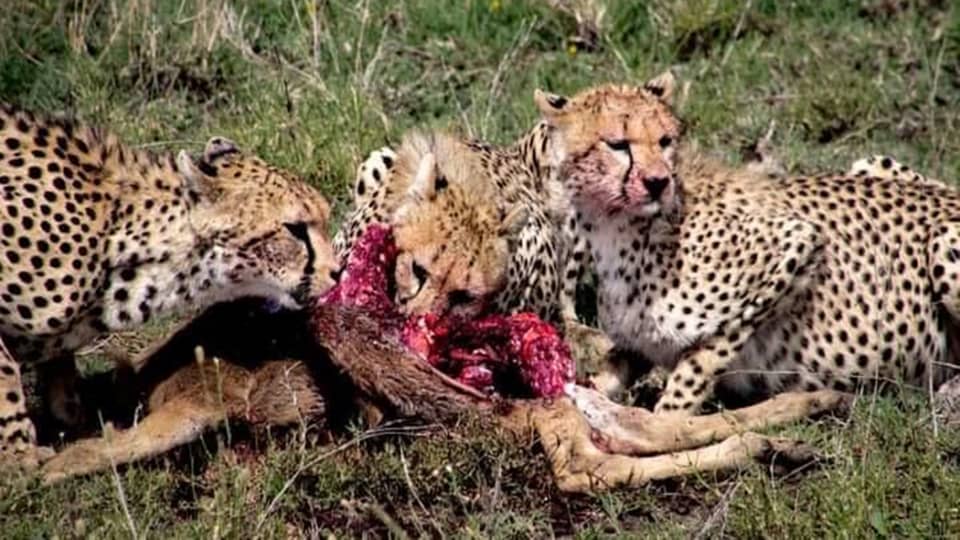 Serengeti National Park