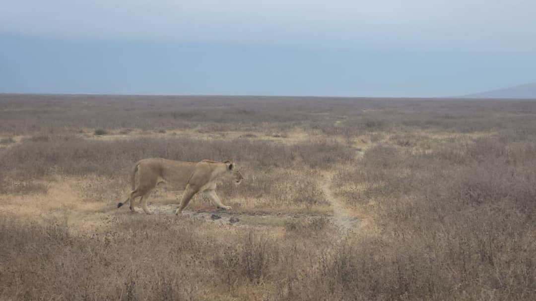 Ngorongoro Conservation Area