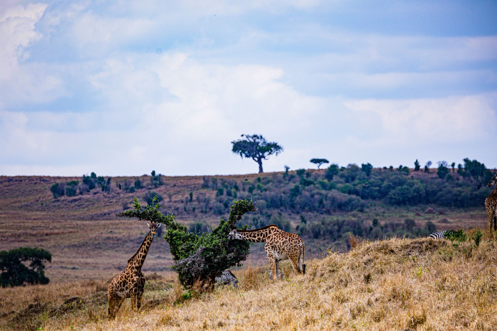 Serengeti National Park