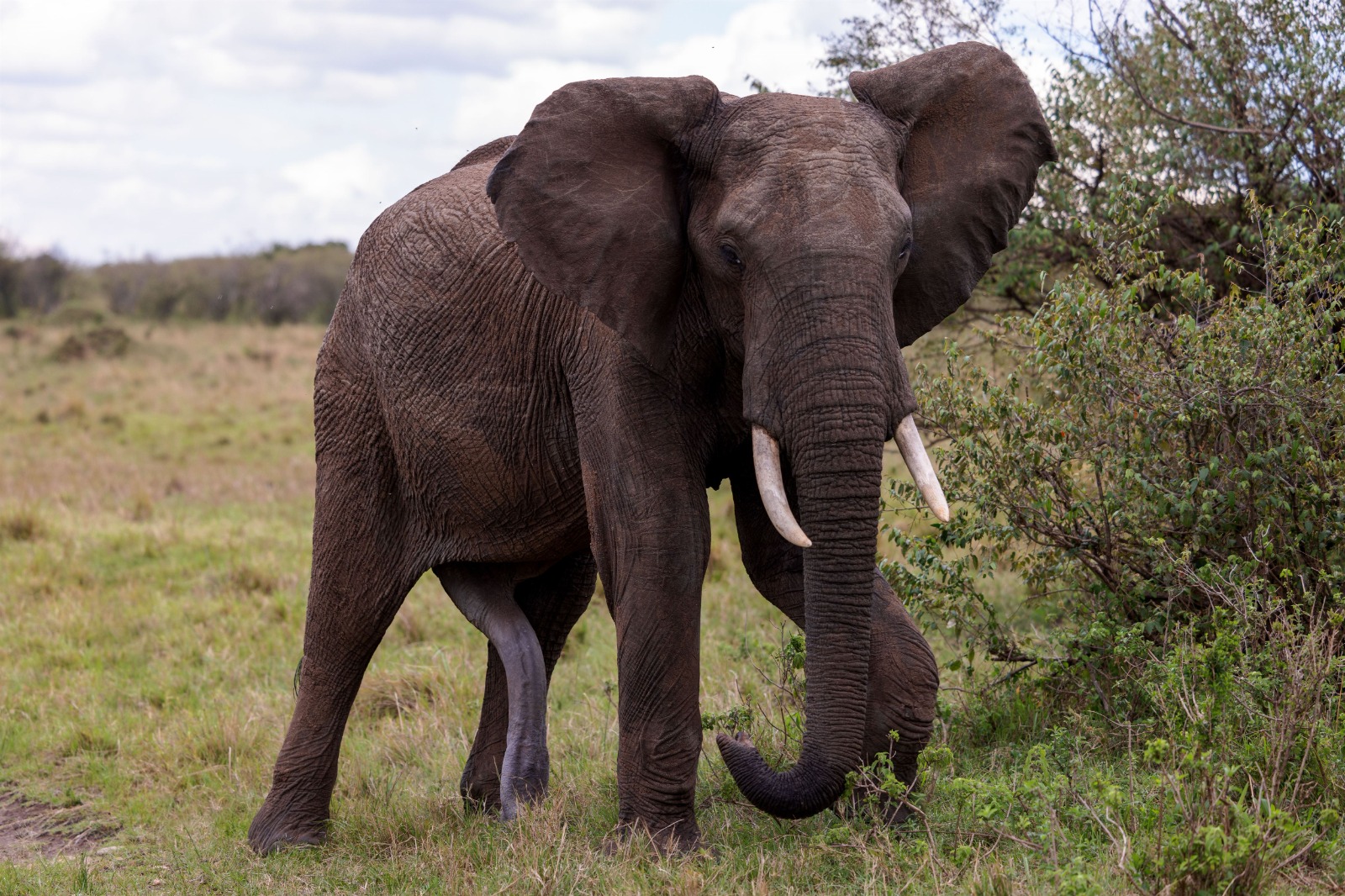 Serengeti National Park