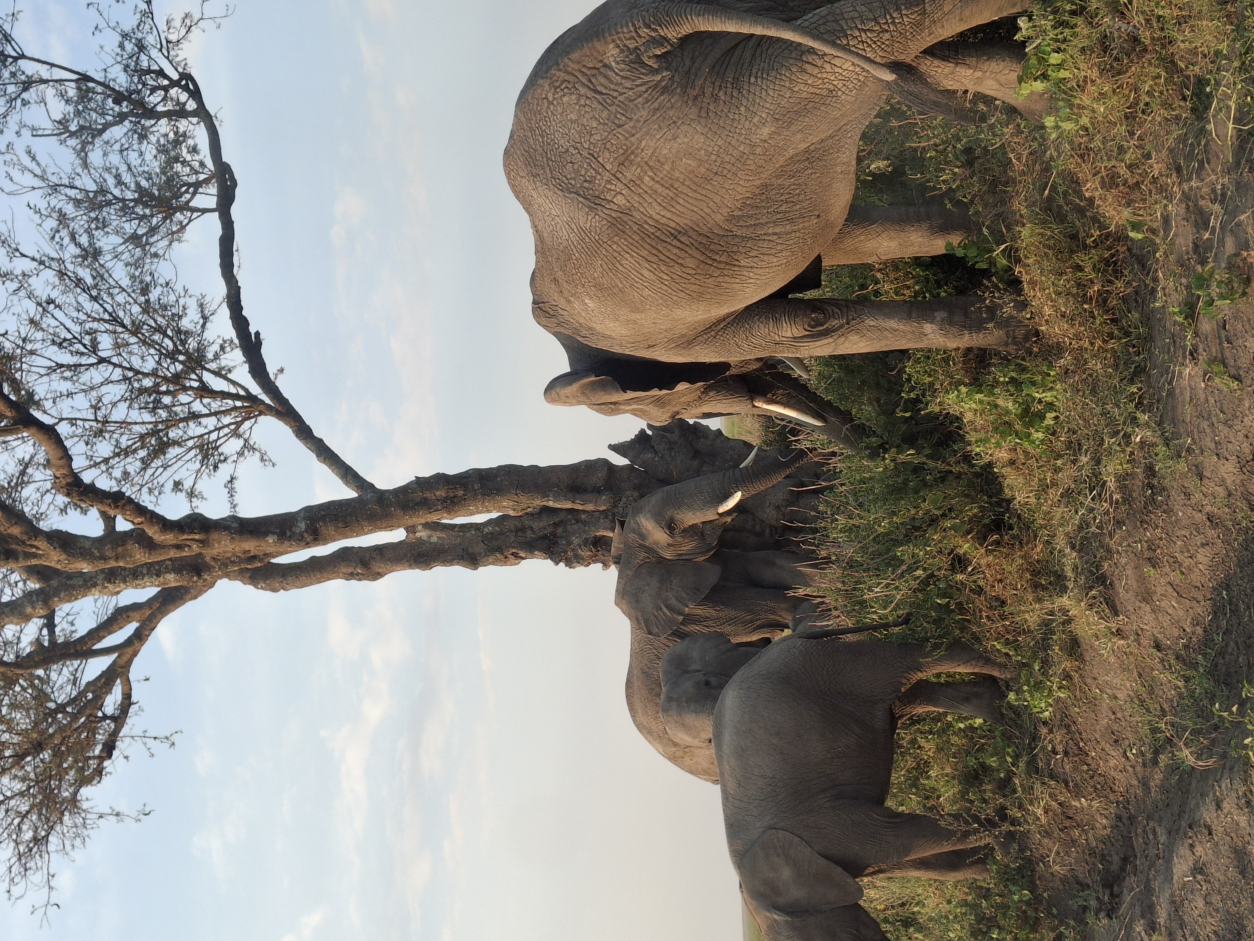 Ngorongoro Conservation Area