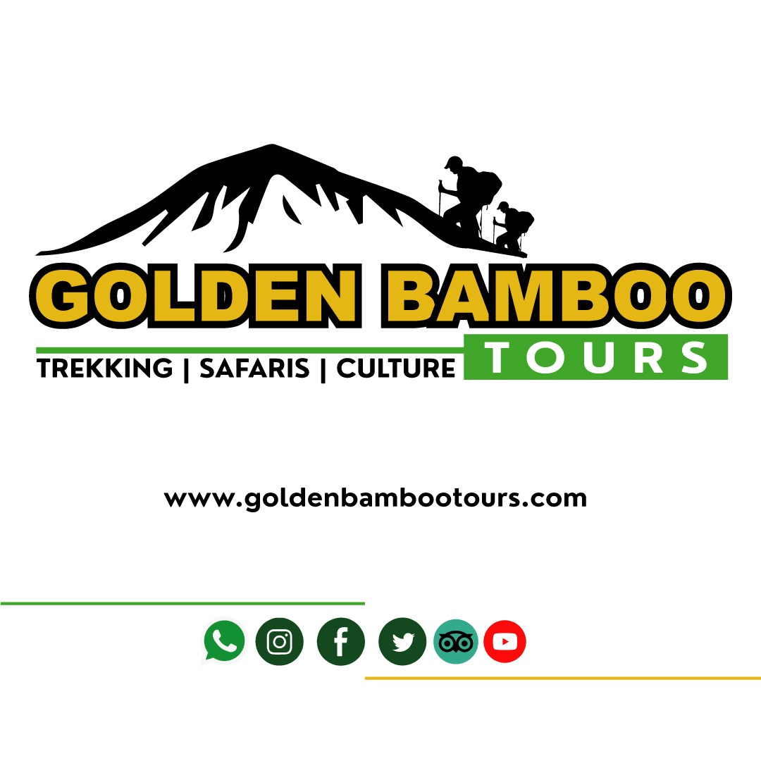 Golden Bamboo Tours