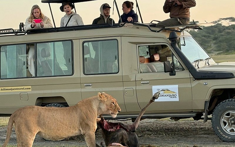 5 Days Ndutu Migration