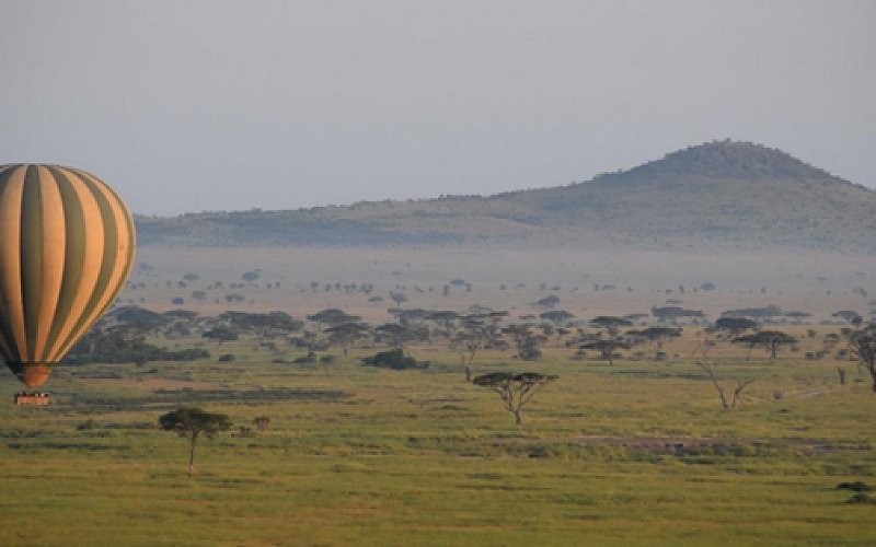 4 Days Tanzania Safari
