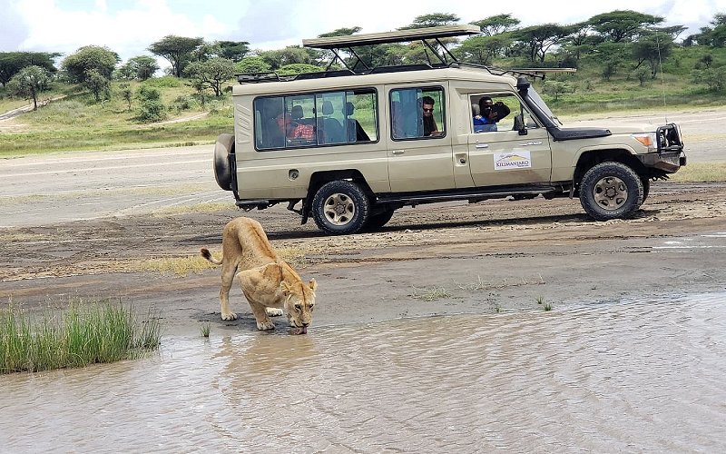 3 Days Safari Serengeti National Park And Ngorongoro Crater
