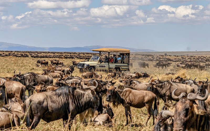 4 Days Safari To Masai Mara