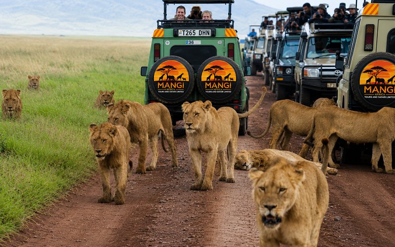 5 Day Tanzania Safari: Into The Heart Of Africa’s Wild Wonders