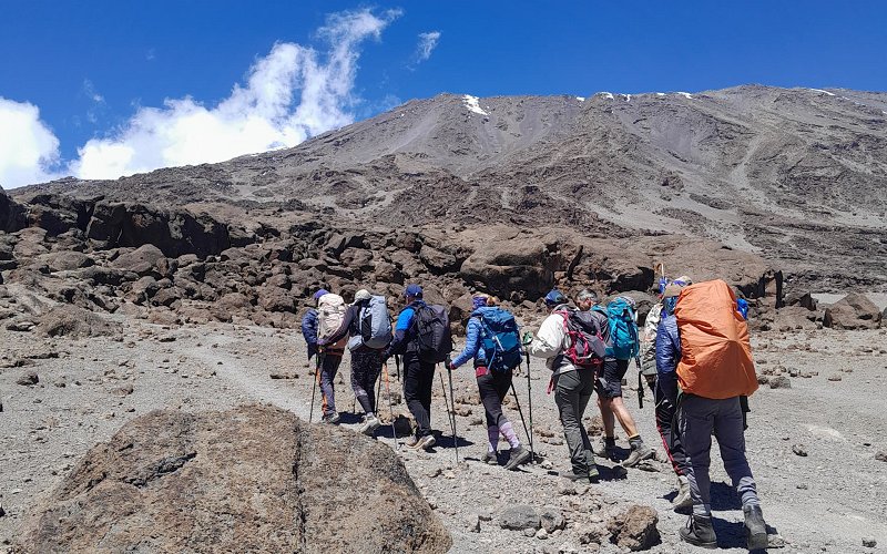 9 Day Kilimanjaro Northern Circuit: Conquer The Roof Of Africa