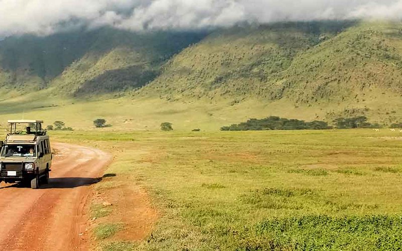 5 Day Tarangire, Serengeti & Ngorongoro Private Safari