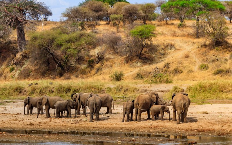 2 Days Safari: Tarangire National Park & Ngorongoro Crater