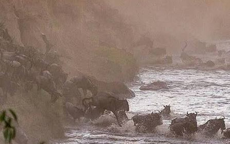 8 Day Great Migration Safari – Tarangire, Serengeti, Ngorongoro & Mto Wa Mbu