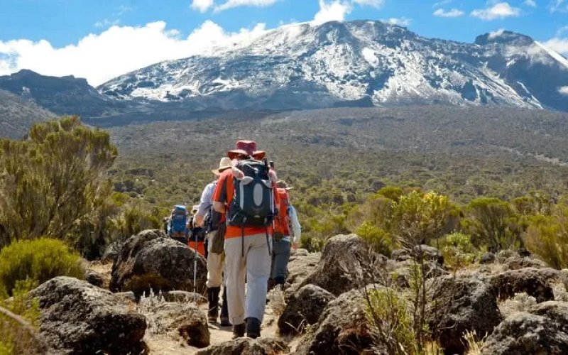 7 Days Umbwe Route