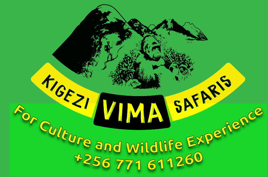 KIGEZI VIMA SAFARIS